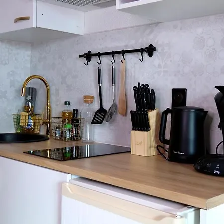 Studio 130 A 8 Min A Pied Du Futuroscope 1 A 4 Pers