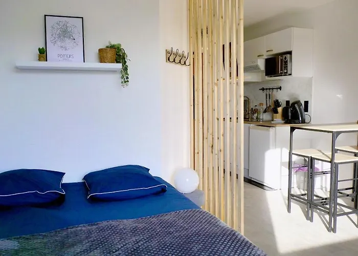 Apartment Studio 130 A 8 Min A Pied Du Futuroscope 1 A 4 Pers Chasseneuil-du-Poitou